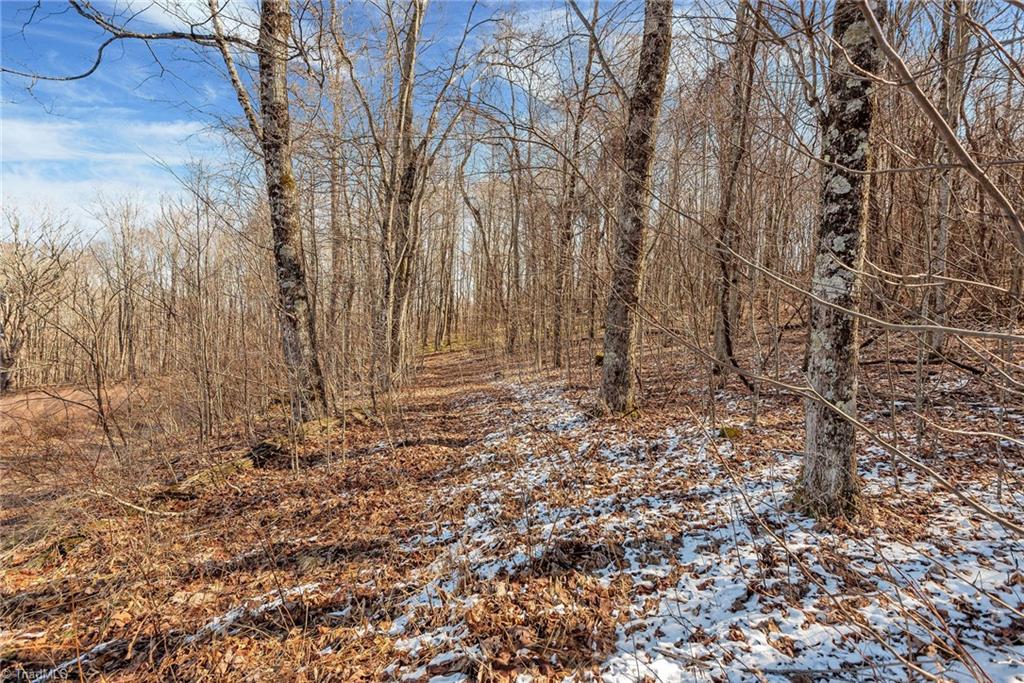 TBD Roaring Branch Road, Lansing, North Carolina image 3