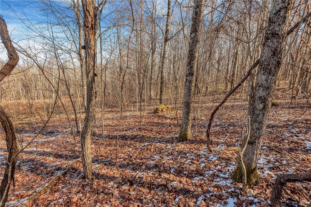 TBD Roaring Branch Road, Lansing, North Carolina image 14