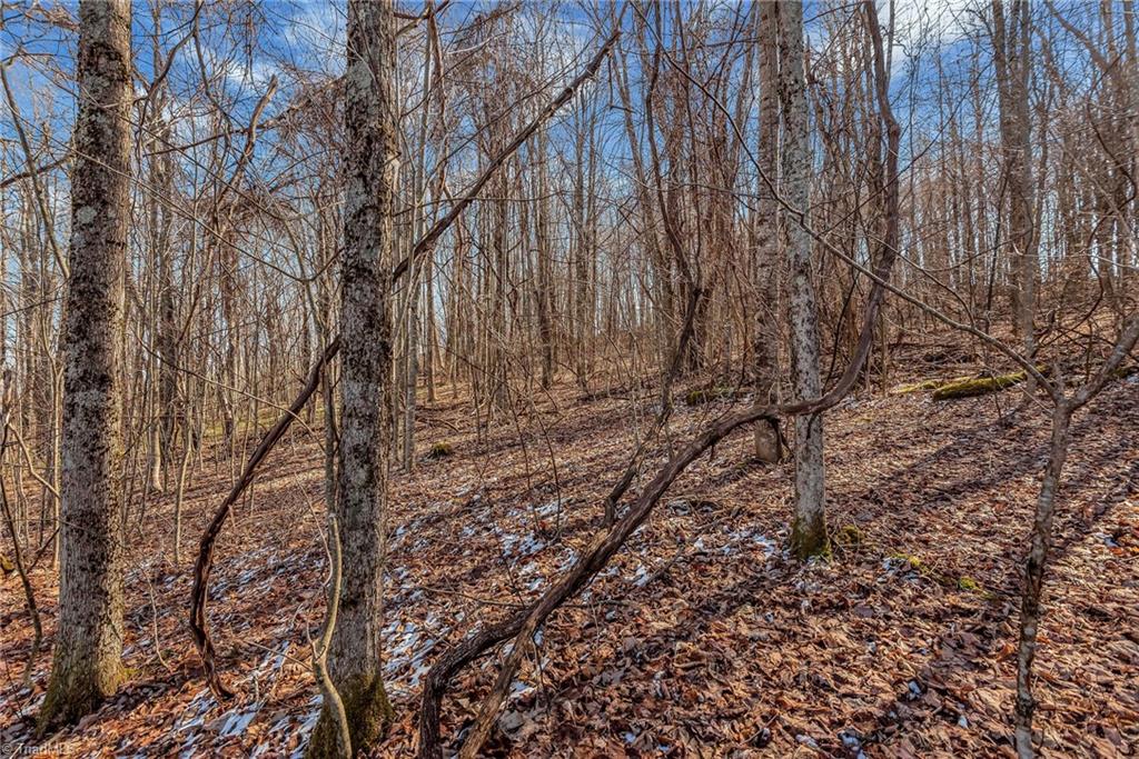 TBD Roaring Branch Road, Lansing, North Carolina image 13