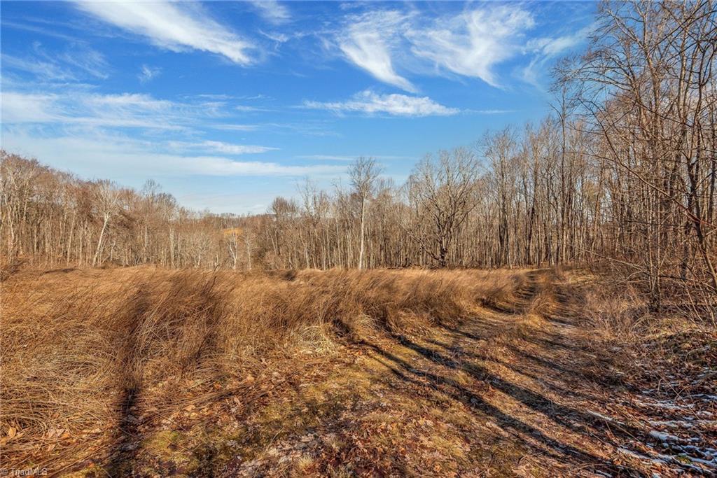 TBD Roaring Branch Road, Lansing, North Carolina image 28