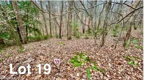 Vacant Land For Sale - LOT 19 Woods Haven Lane<br/> Patrick County, Stuart, VA 24171