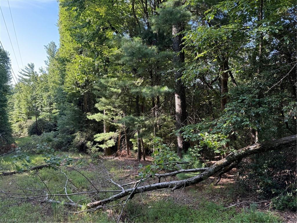 00 Timber Ridge Road, Millers Creek, NC, 28651