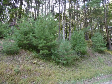 Vacant Land For Sale - TBD Woodlands Drive<br/> Piney Creek, NC 28663