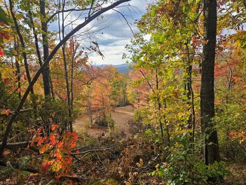 Vacant Land For Sale - Shell Creek Road<br/> Wilkes County, Ferguson, NC 28624