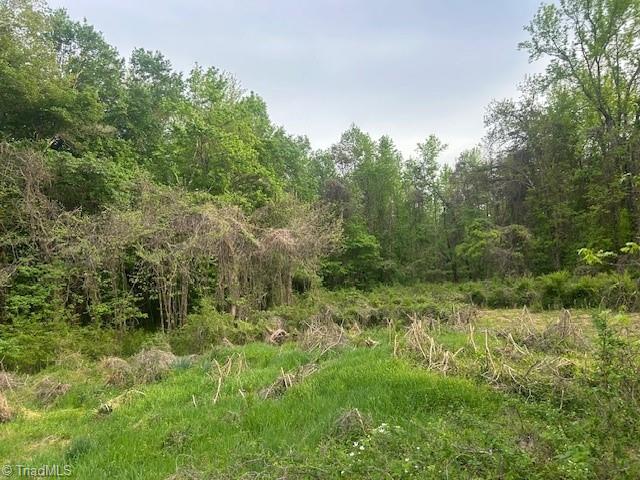 2335 Holiday Loop, Reidsville, North Carolina image 10