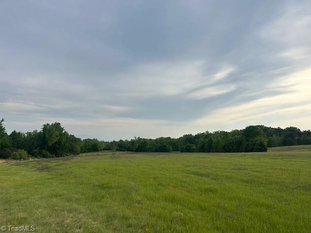 2335 Holiday Loop, Reidsville, North Carolina image 14