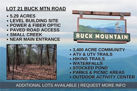 Condo For Sale - LOT 21 Buck Mountain Road<br/> Purlear, NC 28665