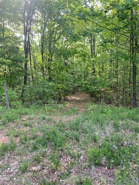 Vacant Land For Sale - 00 Angle Street<br/> Purlear, NC 28665