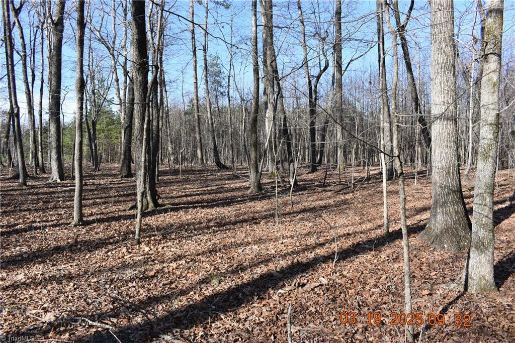 315 Grenham Road, Greensboro, North Carolina image 1