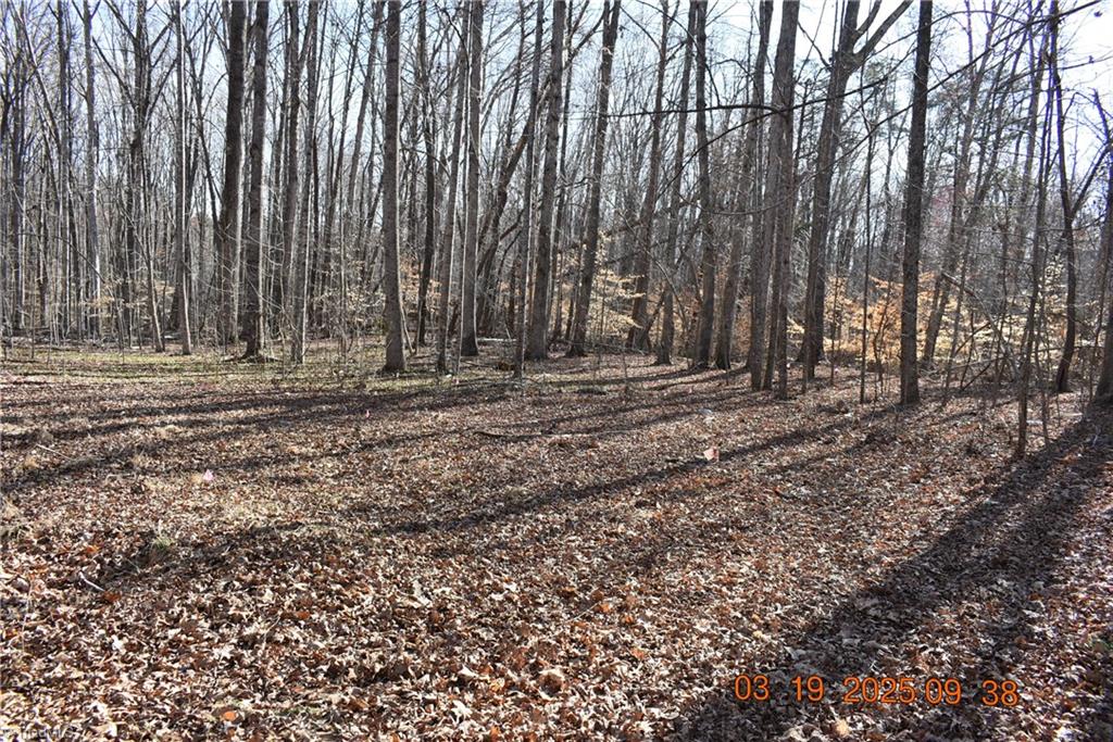 315 Grenham Road, Greensboro, North Carolina image 2