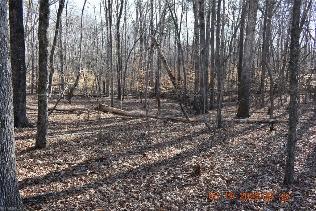 315 Grenham Road, Greensboro, North Carolina image 3