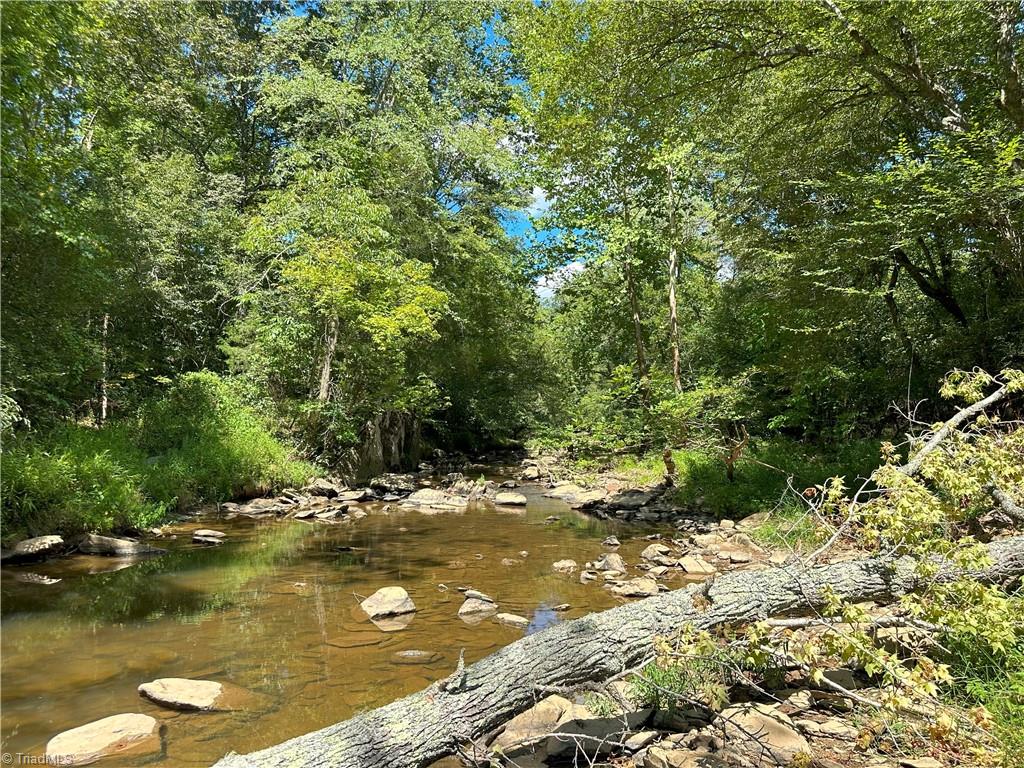 Lambeth Mill Road, Siler City, North Carolina image 15