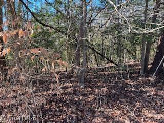 Lot 14 Stevens Drive, Jonesville, North Carolina image 5