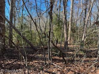 Lot 14 Stevens Drive, Jonesville, North Carolina image 2