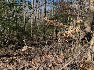 Lot 14 Stevens Drive, Jonesville, North Carolina image 3