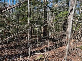 Lot 14 Stevens Drive, Jonesville, North Carolina image 4