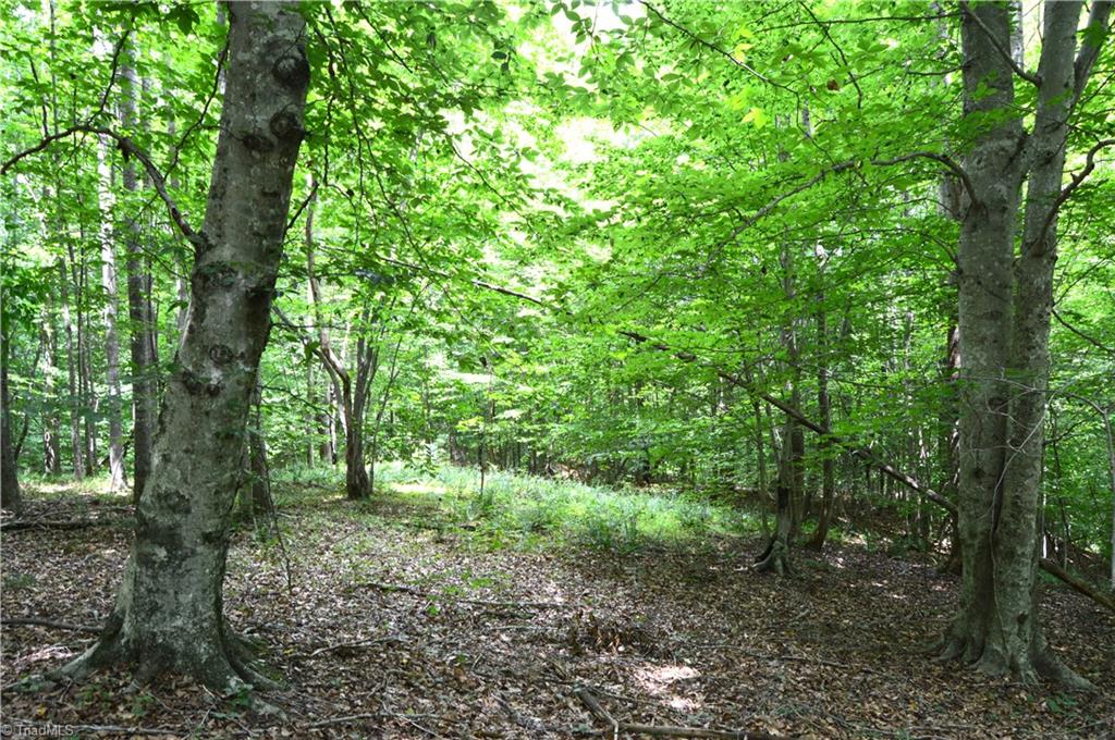 Lot #5 Rock Creek Lane, Reidsville, North Carolina image 9