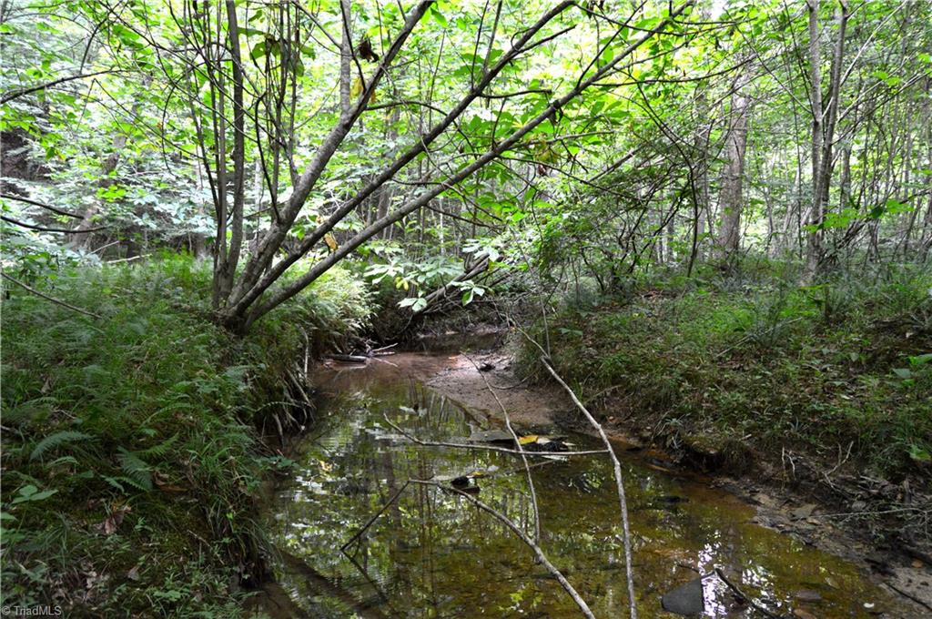 Lot #5 Rock Creek Lane, Reidsville, North Carolina image 10