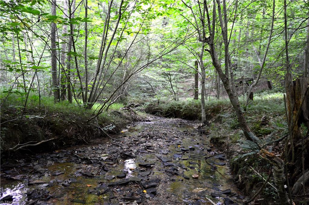 Lot #5 Rock Creek Lane, Reidsville, North Carolina image 11