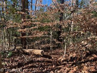 Lot 12 Stevens Drive, Jonesville, North Carolina image 4