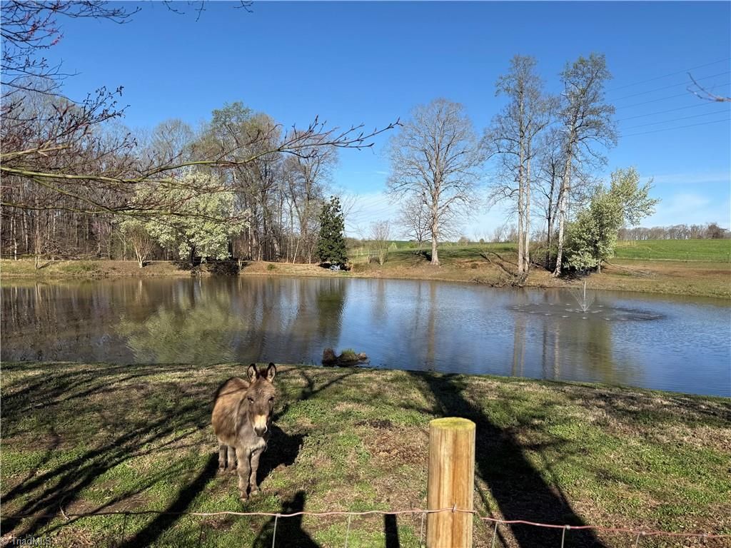 Photo of 6777 Hockett Trail, Randleman, NC 27317 (MLS # 1212561)