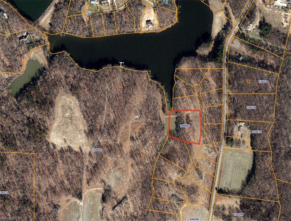 8001 Duck Pond Court, Browns Summit, North Carolina image 2