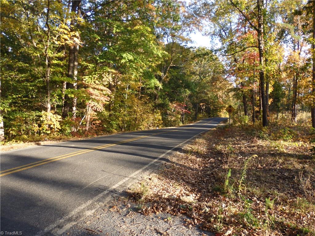 Tabernacle Church Road, Trinity, North Carolina image 3