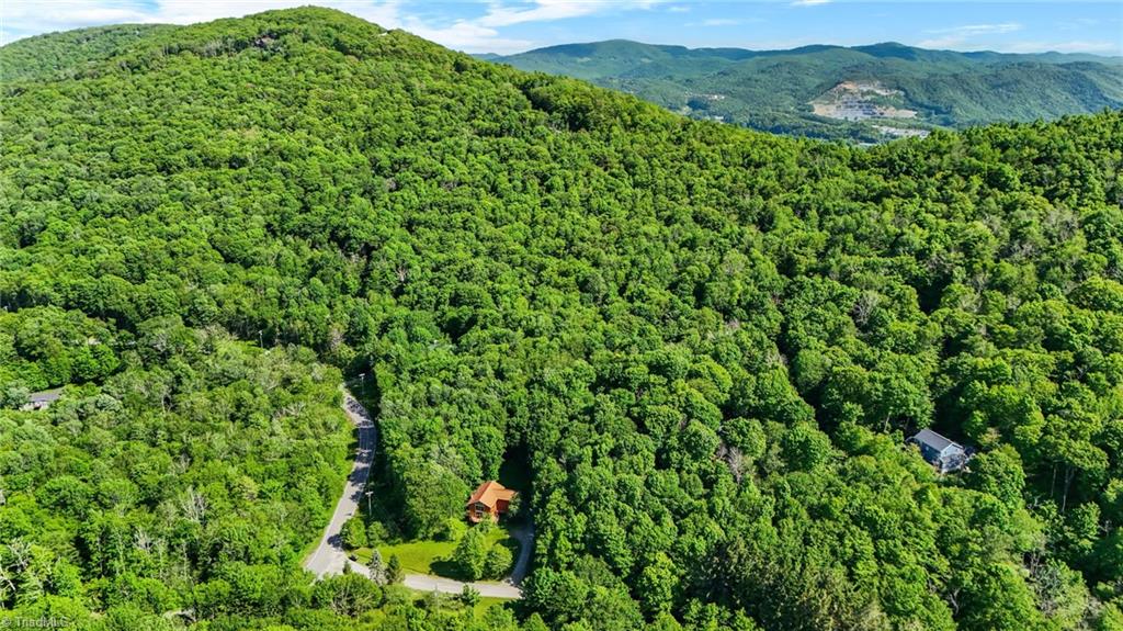 233 Woodland Springs Trail, Boone, North Carolina image 10