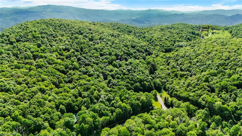 233 Woodland Springs Trail, Boone, North Carolina image 5