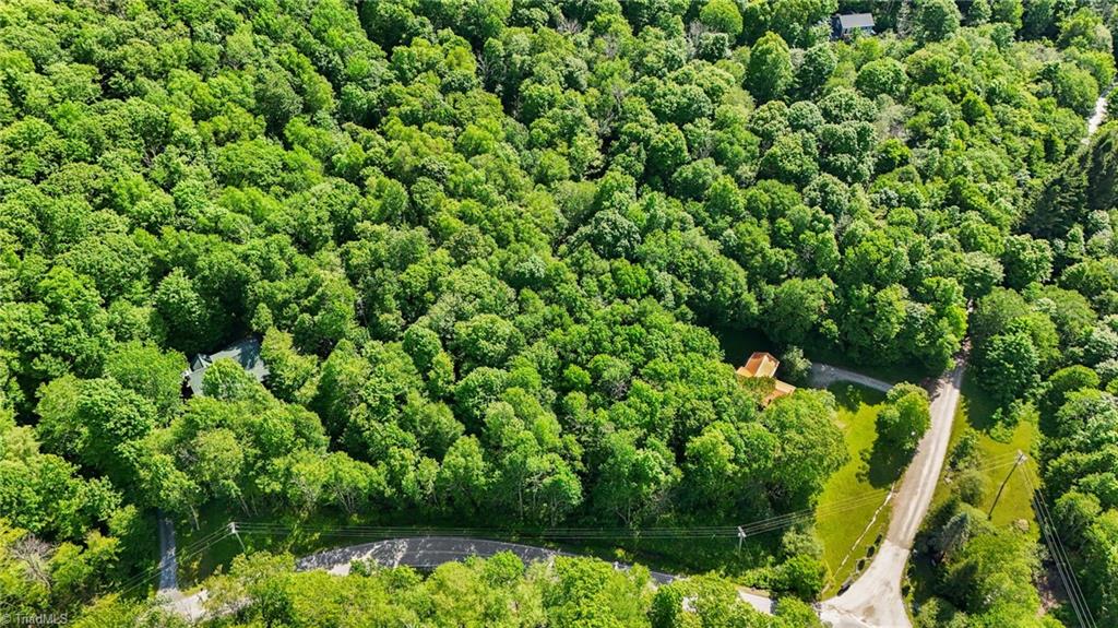 233 Woodland Springs Trail, Boone, North Carolina image 2