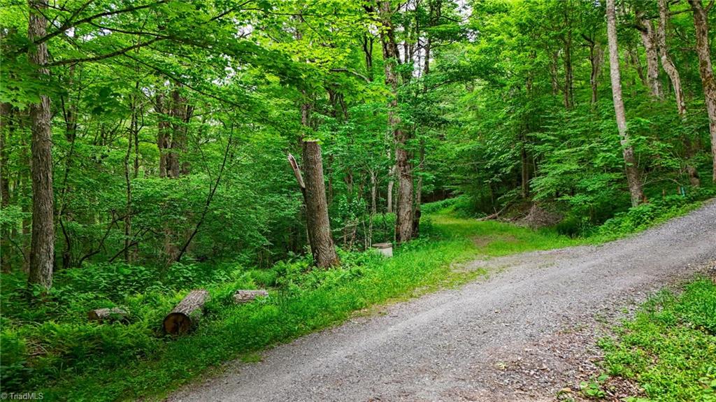 233 Woodland Springs Trail, Boone, North Carolina image 21