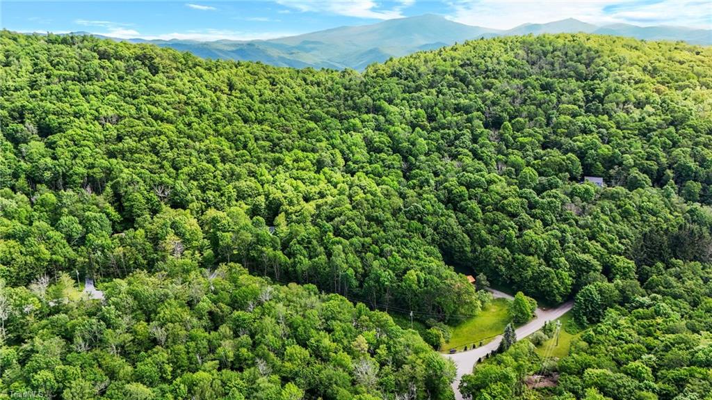 233 Woodland Springs Trail, Boone, North Carolina image 13