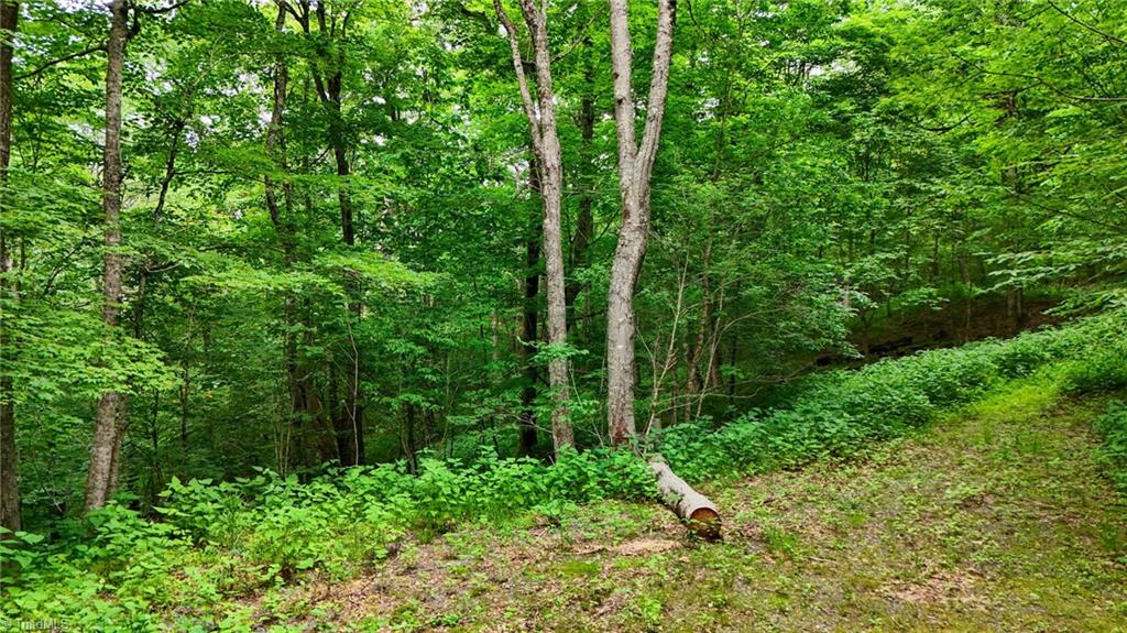 233 Woodland Springs Trail, Boone, North Carolina image 20