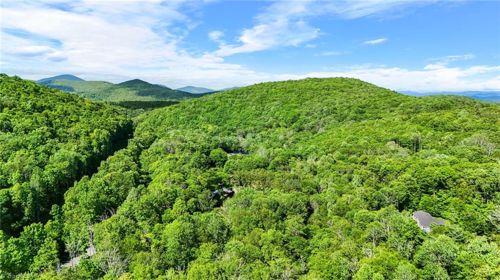 233 Woodland Springs Trail, Boone, North Carolina image 4