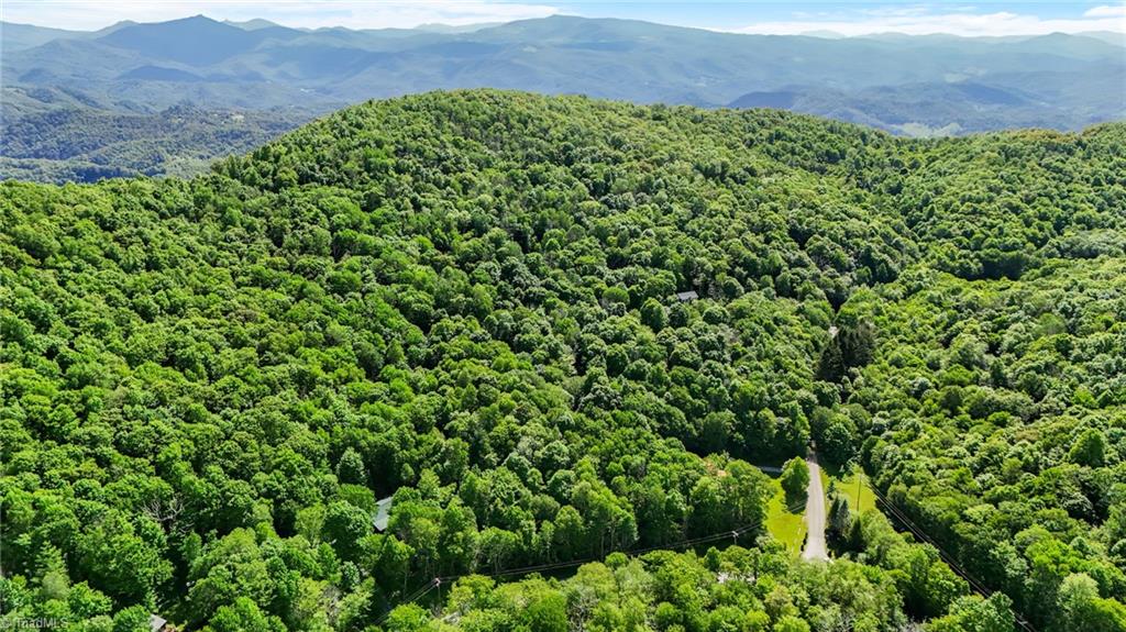 233 Woodland Springs Trail, Boone, North Carolina image 9