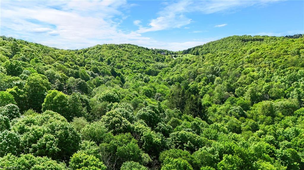 233 Woodland Springs Trail, Boone, North Carolina image 11
