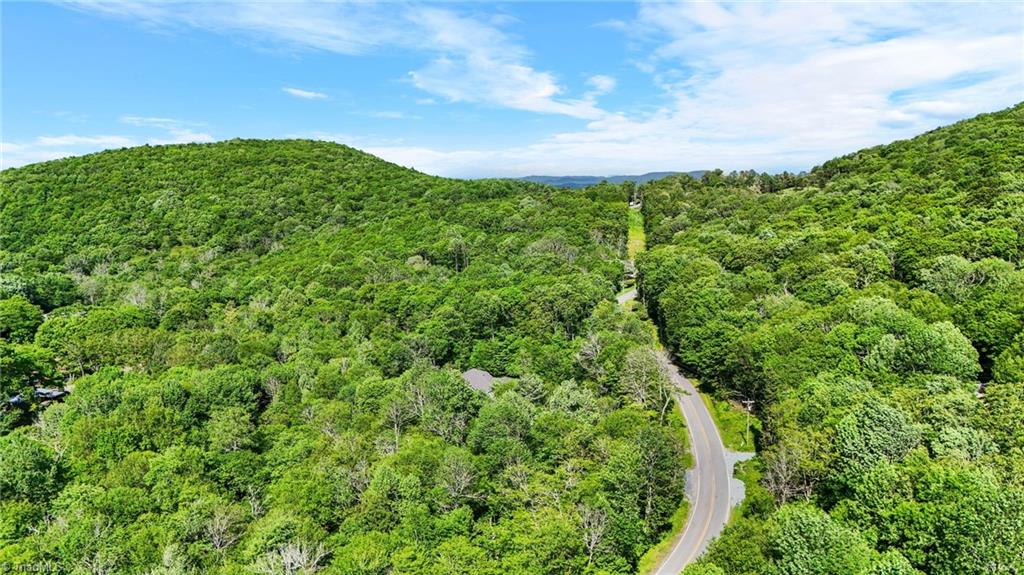 233 Woodland Springs Trail, Boone, North Carolina image 3