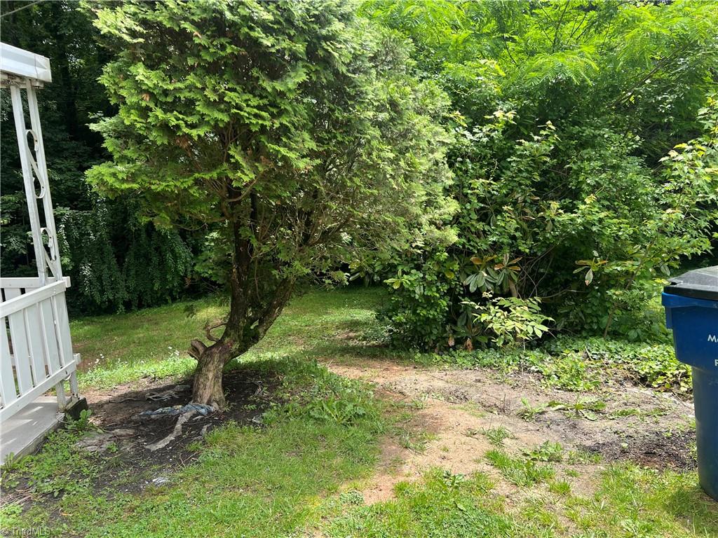 240 Byerly Street, Mount Airy, North Carolina image 13