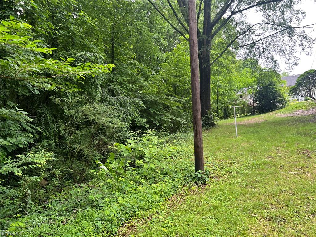240 Byerly Street, Mount Airy, North Carolina image 8
