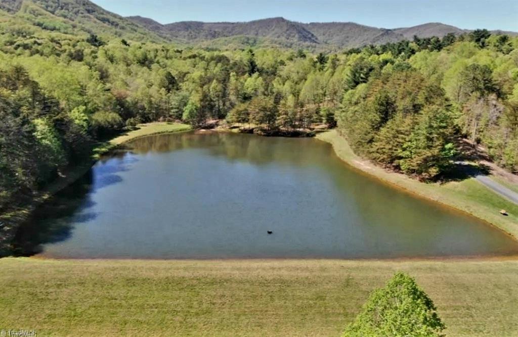 LOT 2 Baldwin Drive, Lowgap, North Carolina image 5