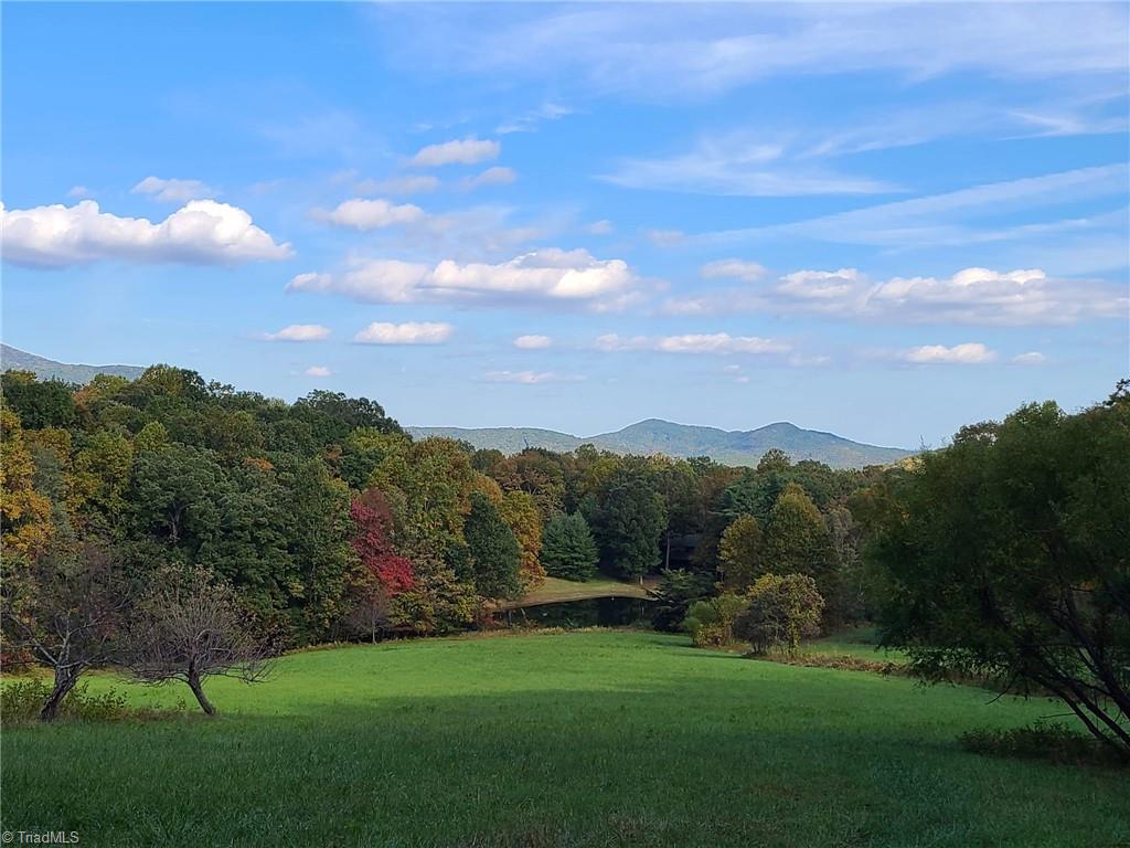 LOT 2 Baldwin Drive, Lowgap, North Carolina image 1