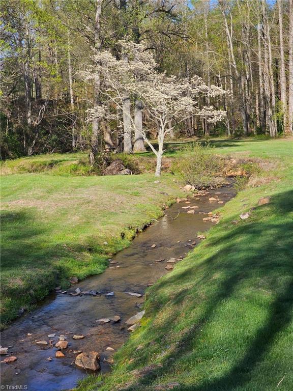 LOT 2 Baldwin Drive, Lowgap, North Carolina image 26