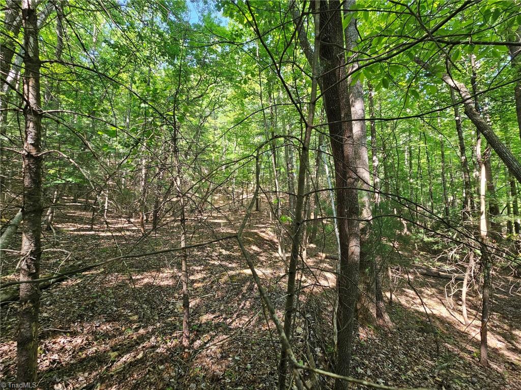LOT 2 Baldwin Drive, Lowgap, North Carolina image 13