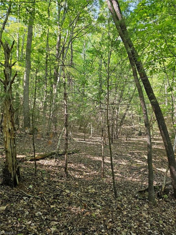 LOT 2 Baldwin Drive, Lowgap, North Carolina image 7
