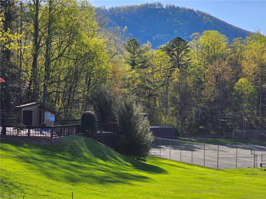LOT 2 Baldwin Drive, Lowgap, North Carolina image 28