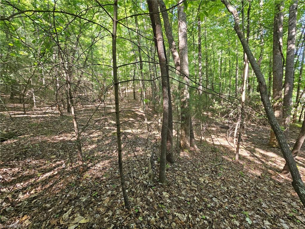 LOT 2 Baldwin Drive, Lowgap, North Carolina image 14
