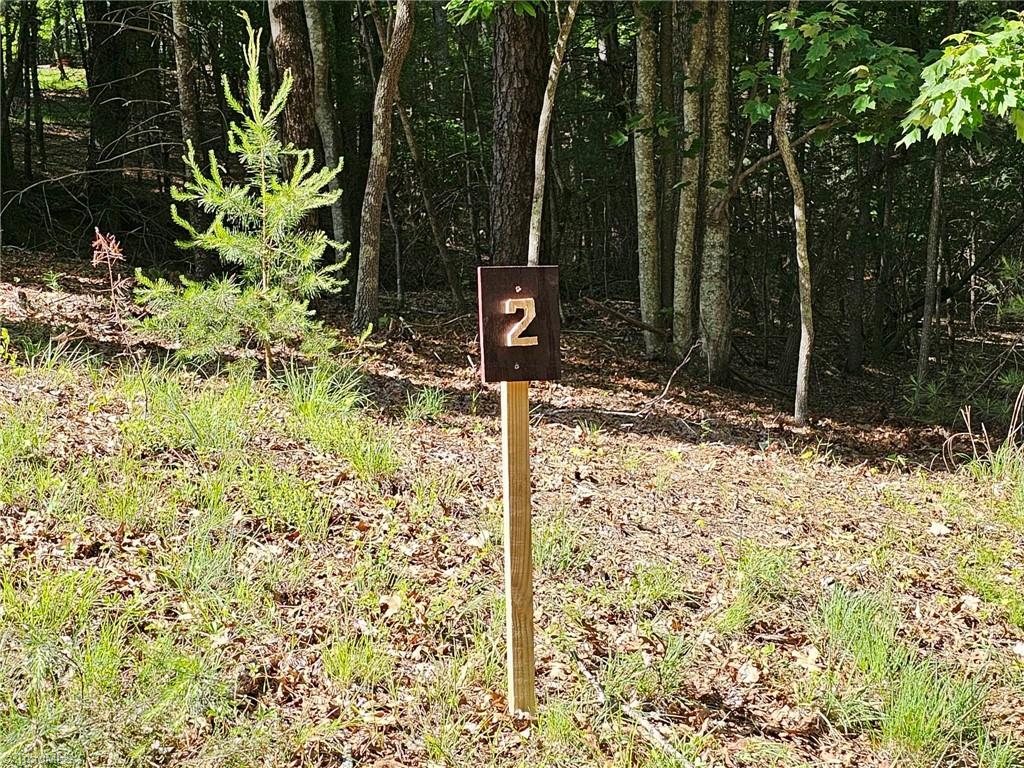 LOT 2 Baldwin Drive, Lowgap, North Carolina image 10