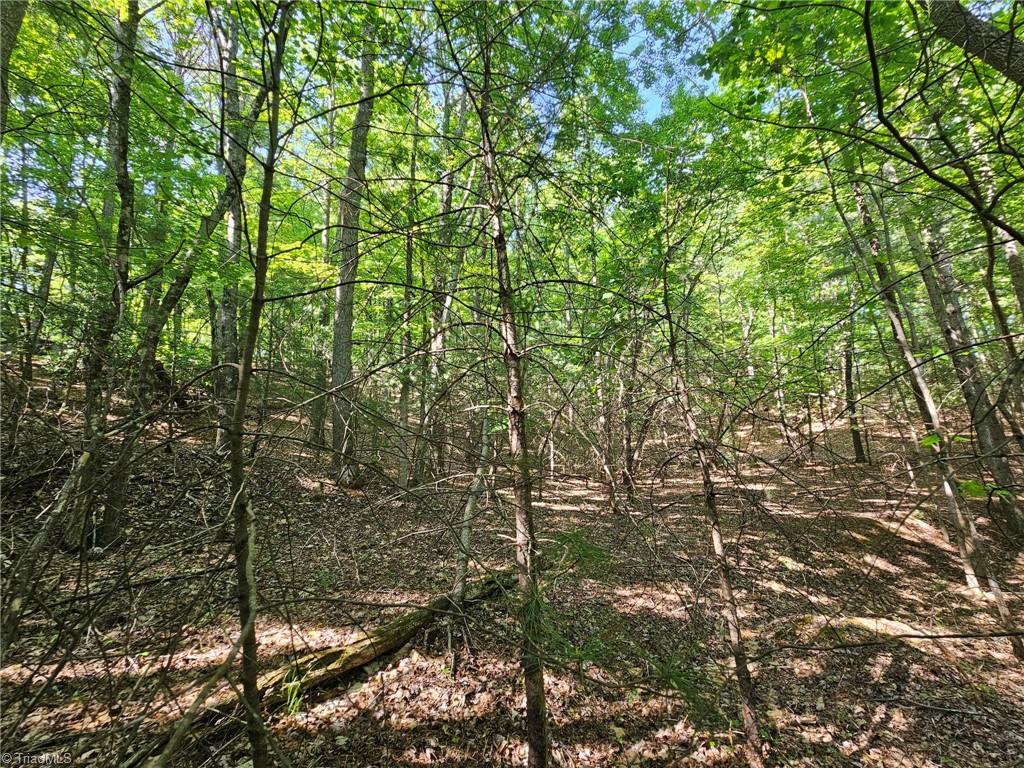 LOT 2 Baldwin Drive, Lowgap, North Carolina image 9
