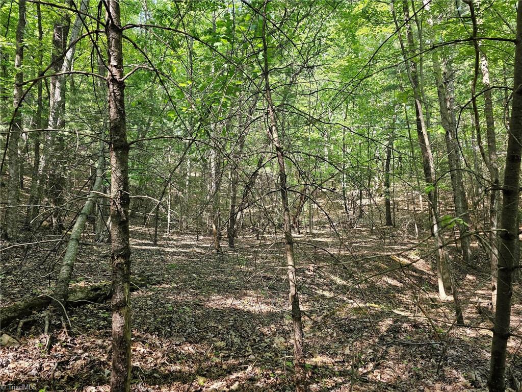LOT 2 Baldwin Drive, Lowgap, North Carolina image 11