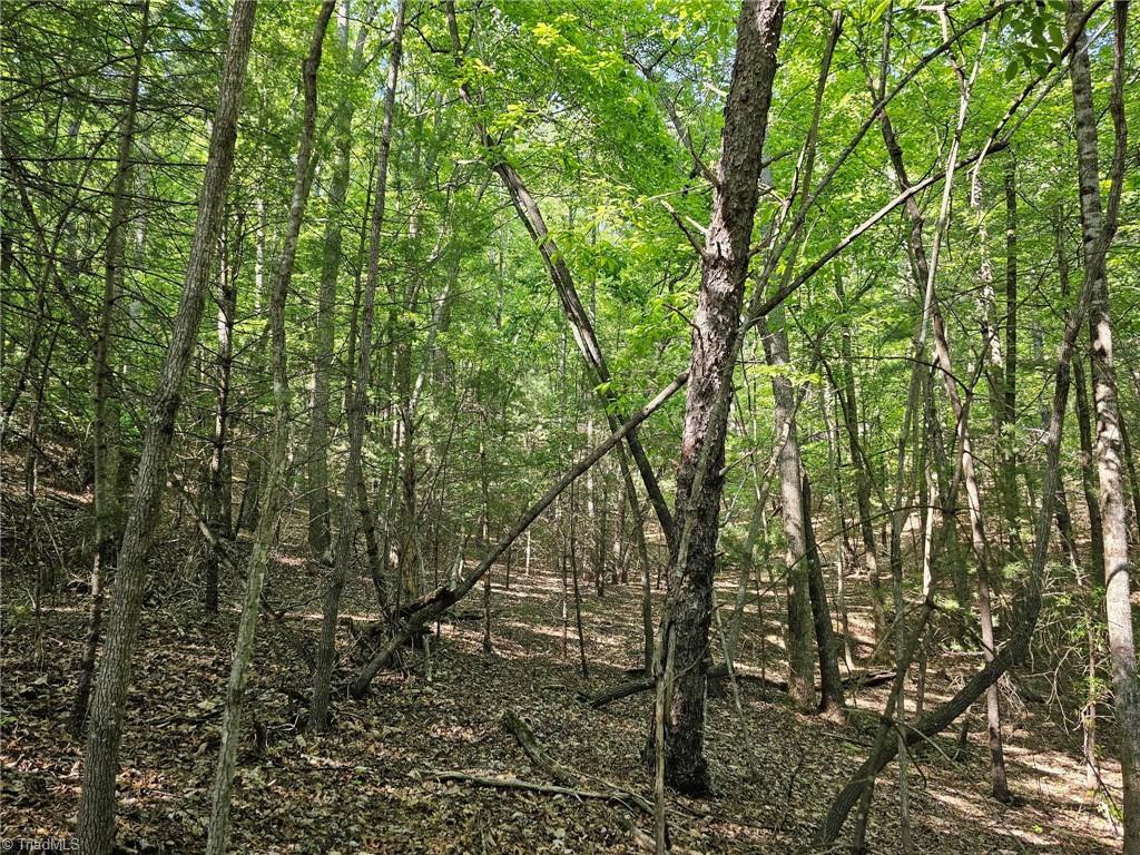 LOT 2 Baldwin Drive, Lowgap, North Carolina image 6